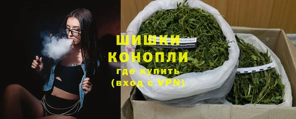 эйфоретик Тайга