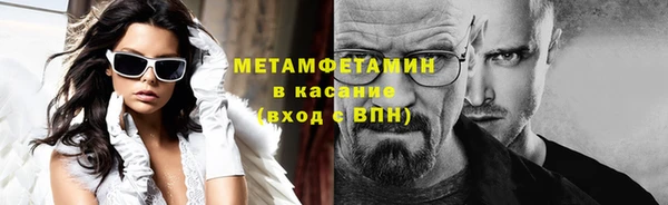 гидра Тавда