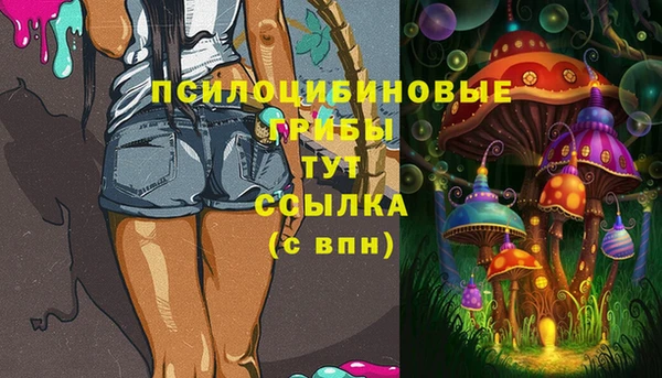 эйфоретик Тайга