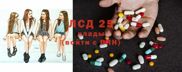 эйфоретик Тайга