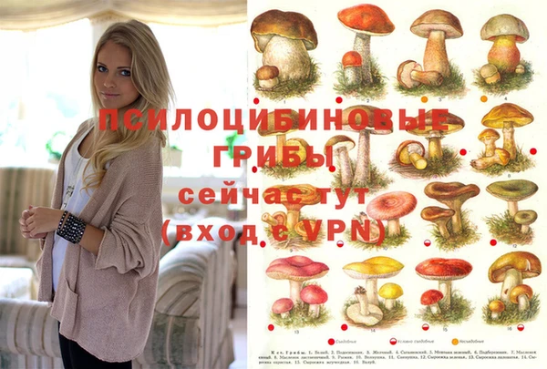 кристаллы Ступино