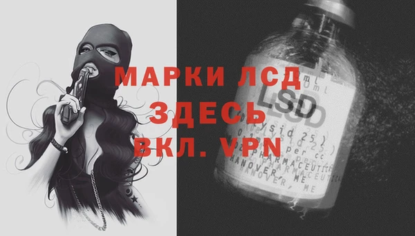 гидра Тавда