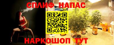 крисы Балаково